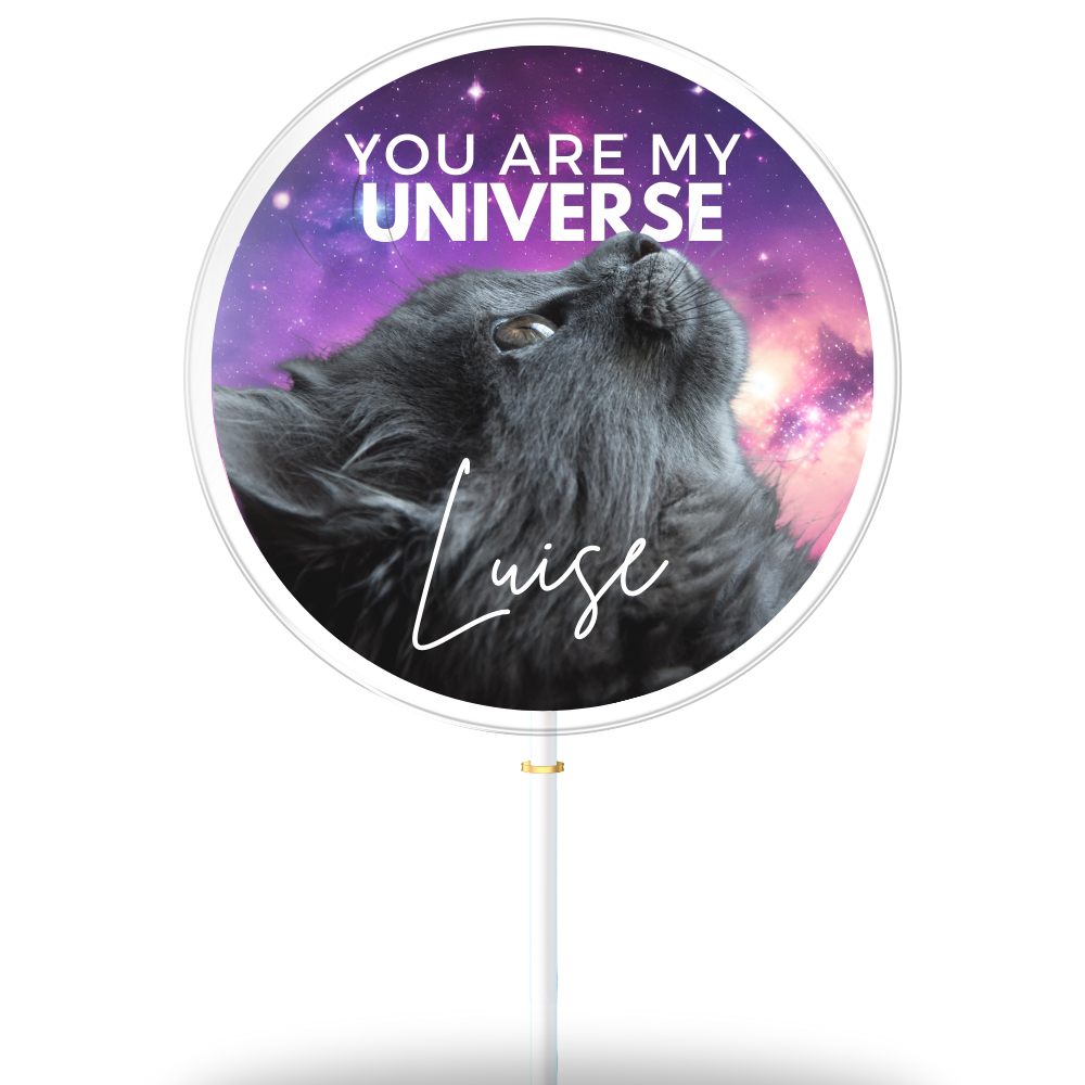 You are my Universe (gift box of 8)